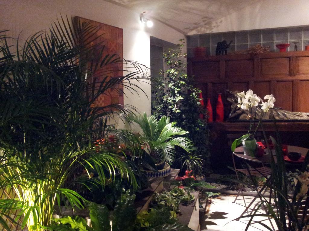 Chambres D'Hotes Le Petit Siam : Le Calme En Centre Ville Clermont-Ferrand Exteriér fotografie